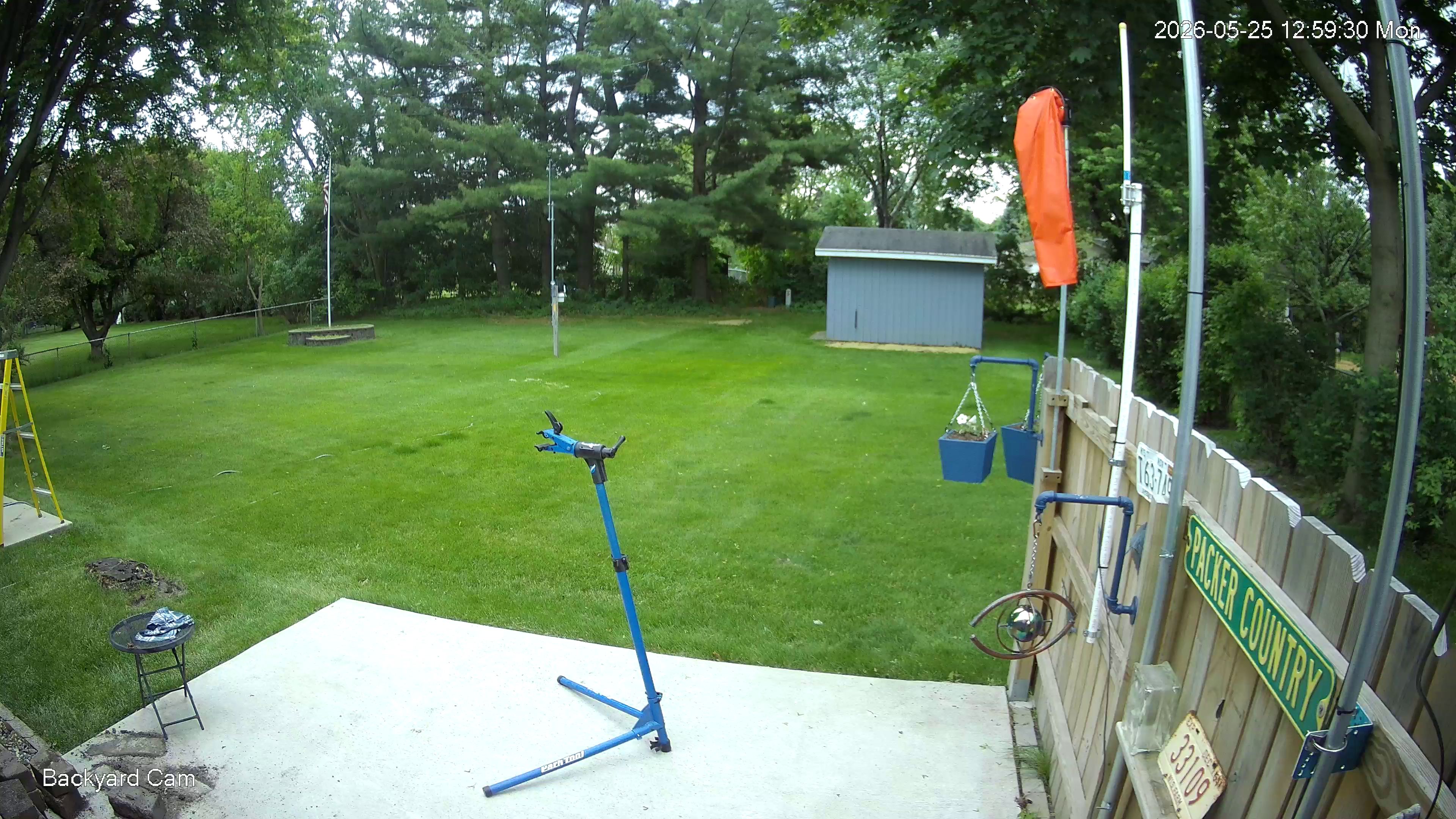 Backyard Cam